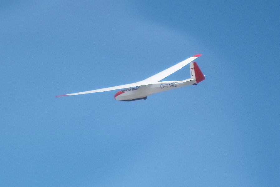Img 229.jpg